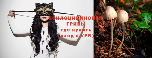 ешки Алексин