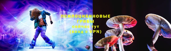 ешки Алексин