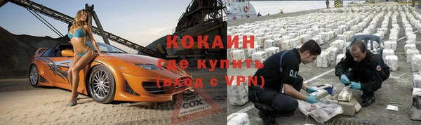 ешки Алексин