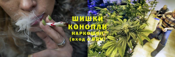 ешки Алексин