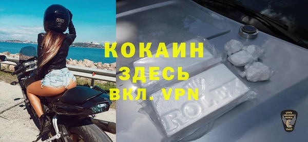 ешки Алексин